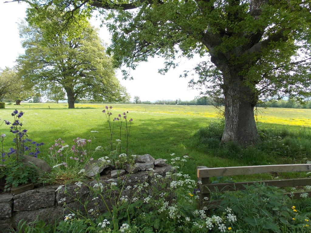 Ash Hill B & B Kilmallock Zimmer foto