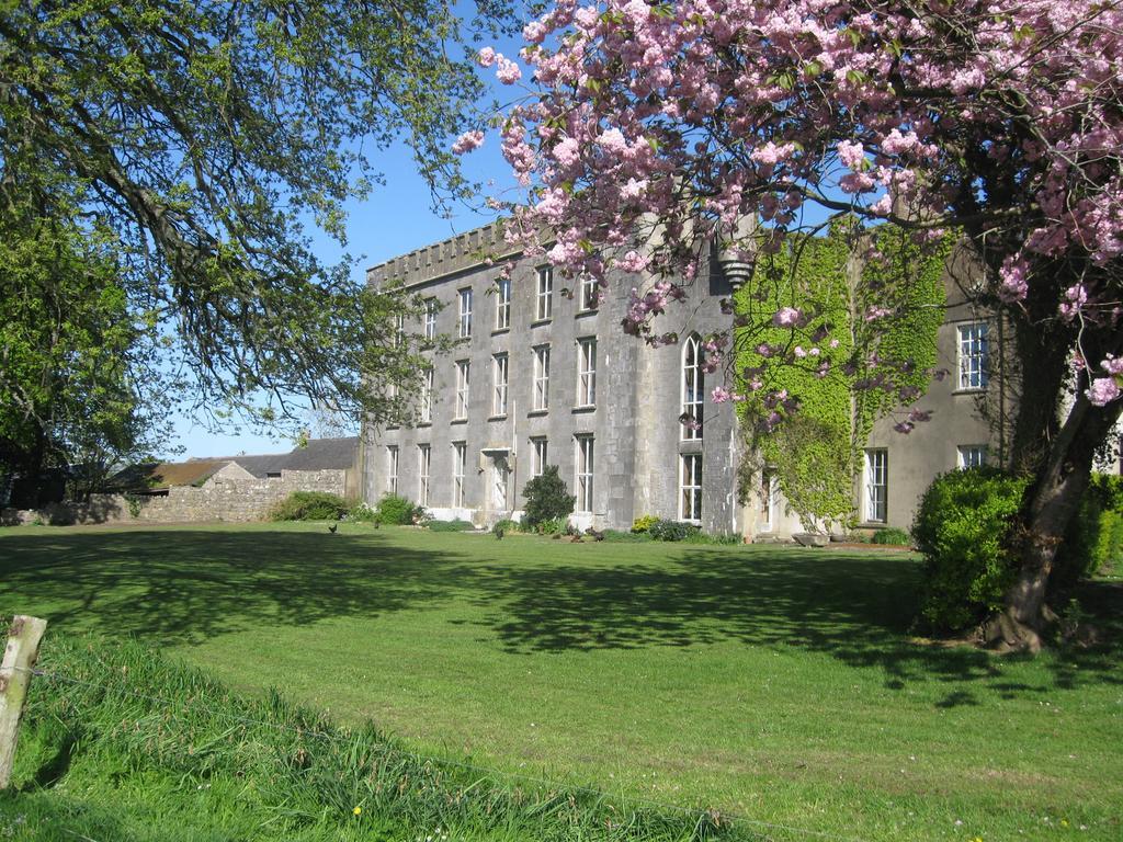 Ash Hill B & B Kilmallock Exterior foto