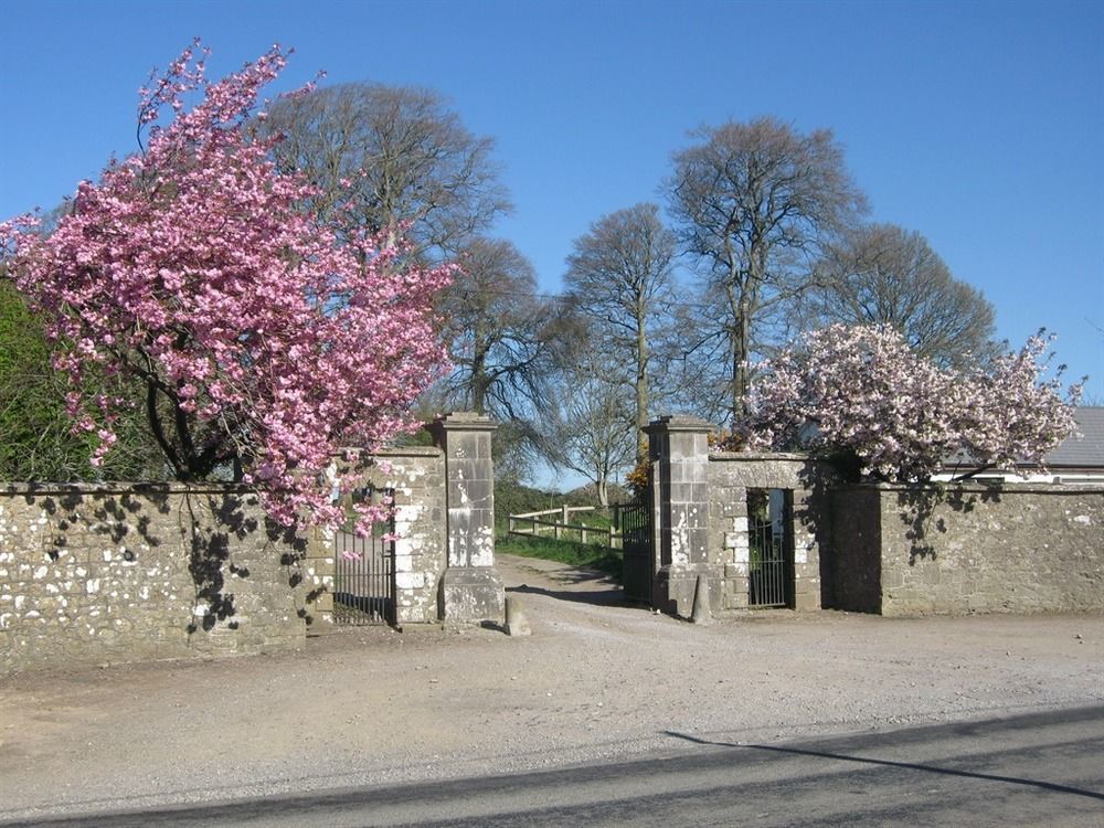 Ash Hill B & B Kilmallock Exterior foto